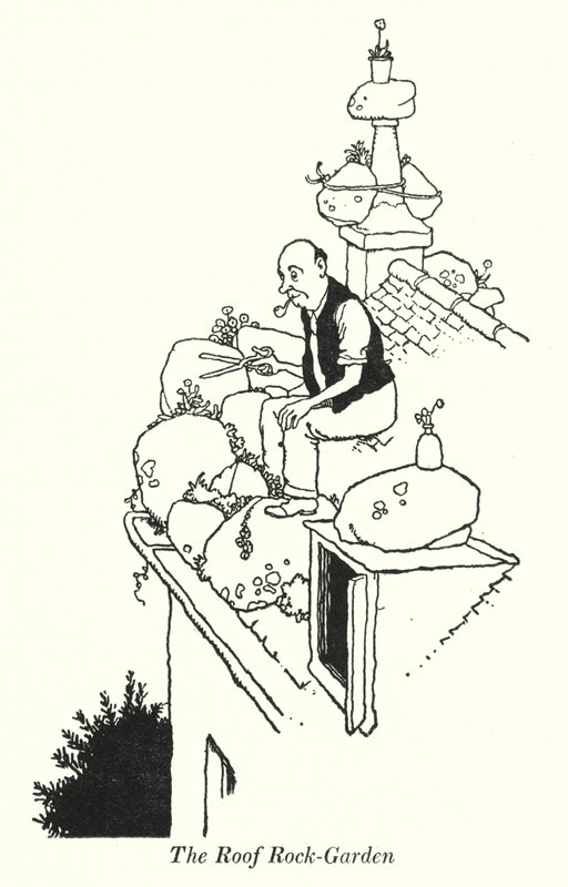 The Roof Rock-Garden (litho) af William Heath Robinson
