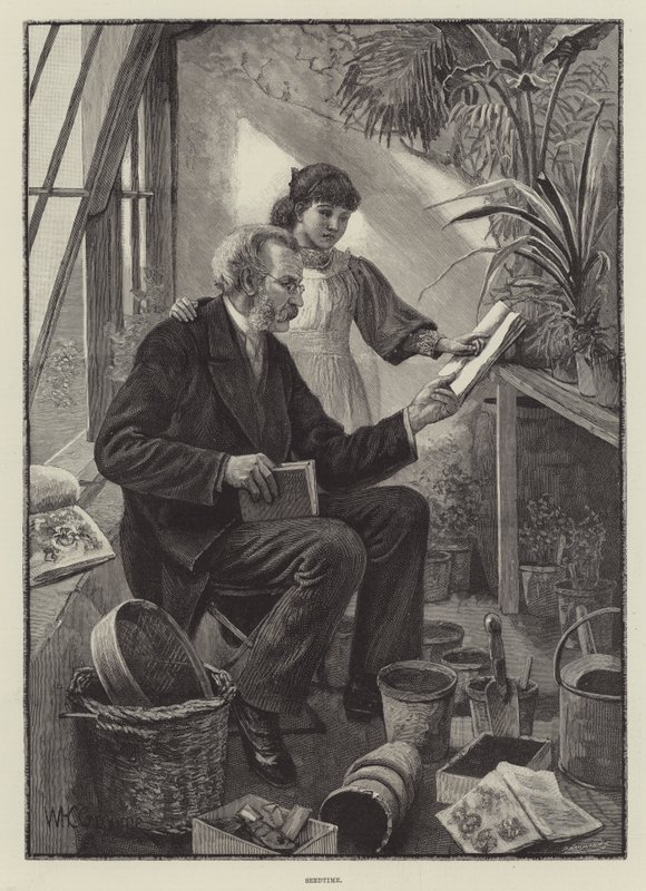 Seedtime af William Henry Charles Groome
