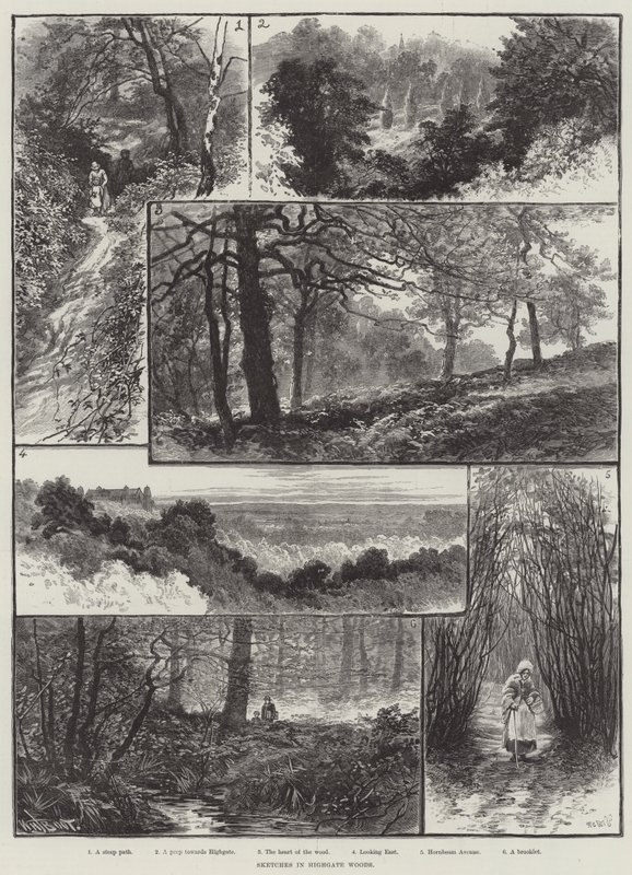 Skitser i Highgate Woods af William Henry James Boot