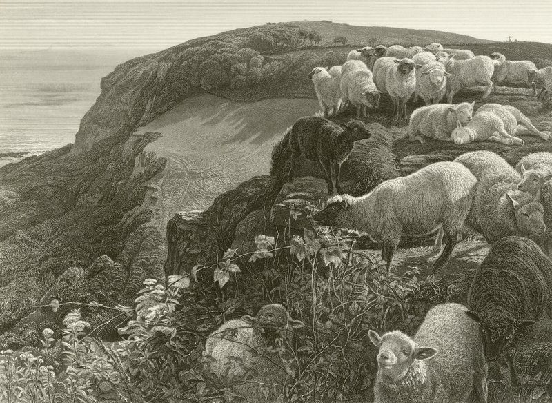På bjergsiden (gravering) af William Holman Hunt