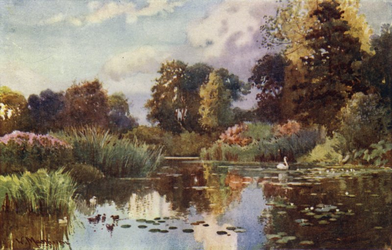 Søen i Botanic Gardens af William Matthison