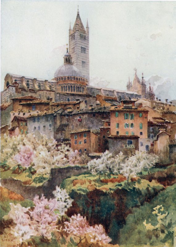 Siena. Katedralen (farve litho) af William Wiehe Collins