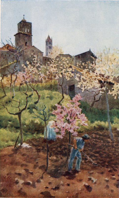 Siena. Under væggene (farve litho) af William Wiehe Collins