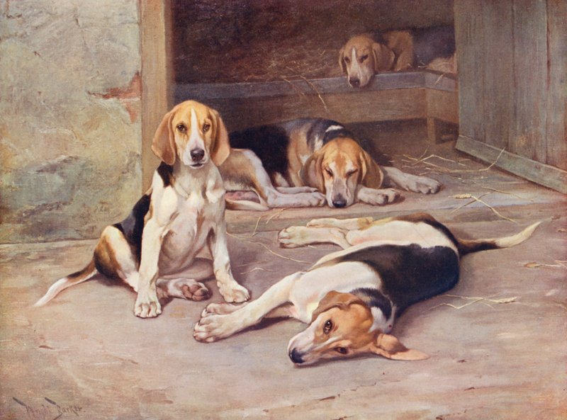 Puppy Days (farvelitografi) af Wright Barker