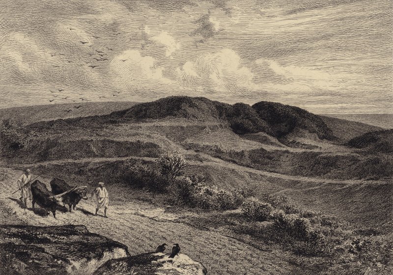 Lignelsen om såmanden af after Albert Robida
