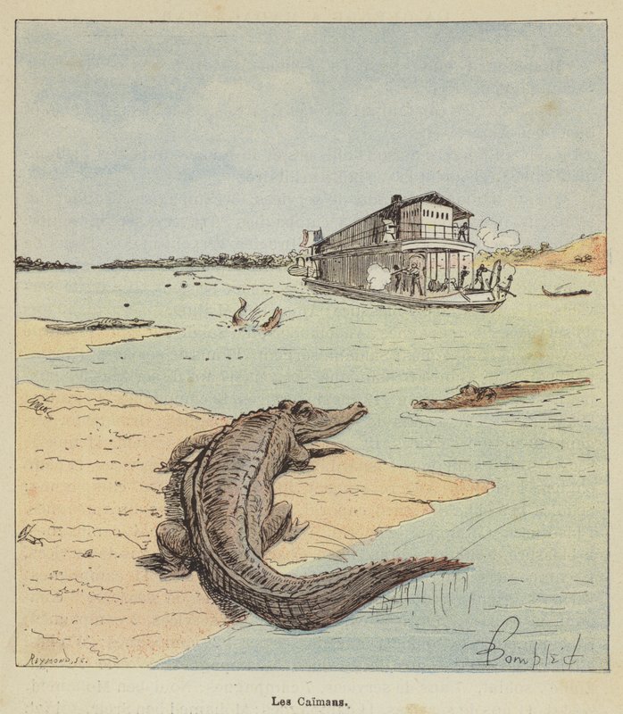 Alligatorerne af after Louis Charles Bombled