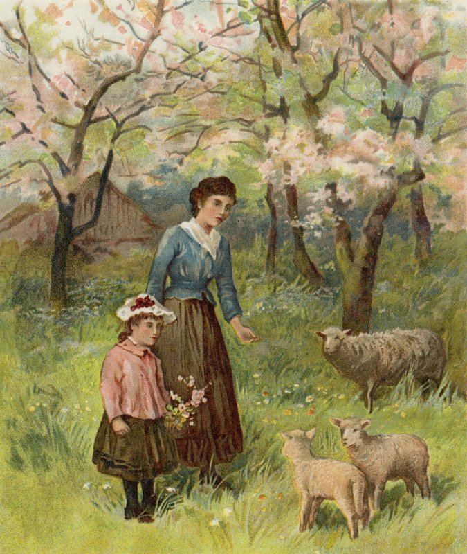 Æbleblomster af after William Henry James Boot